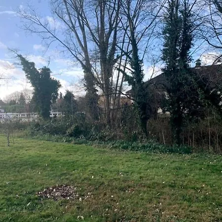 Helle Kellerwohnung Im Gruenen Mit Sauna Colonia Exterior foto
