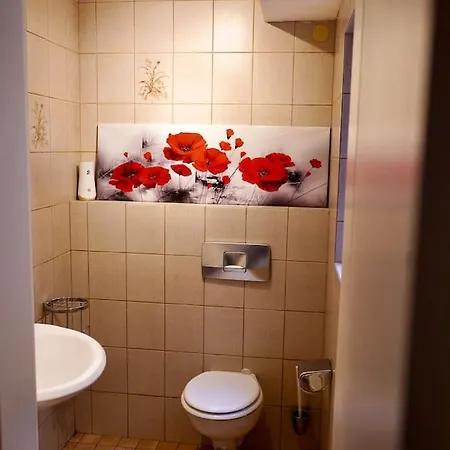 Helle Kellerwohnung Im Gruenen Mit Sauna Colonia Exterior foto